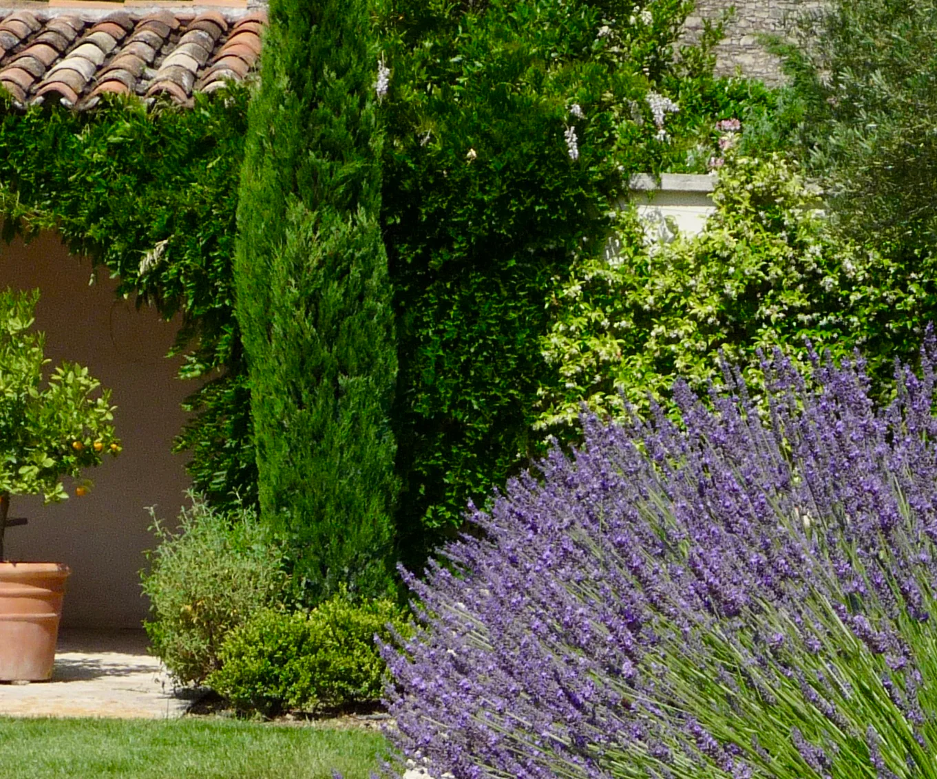 LAVENDER AND PATISSERIE THEME - Image 5