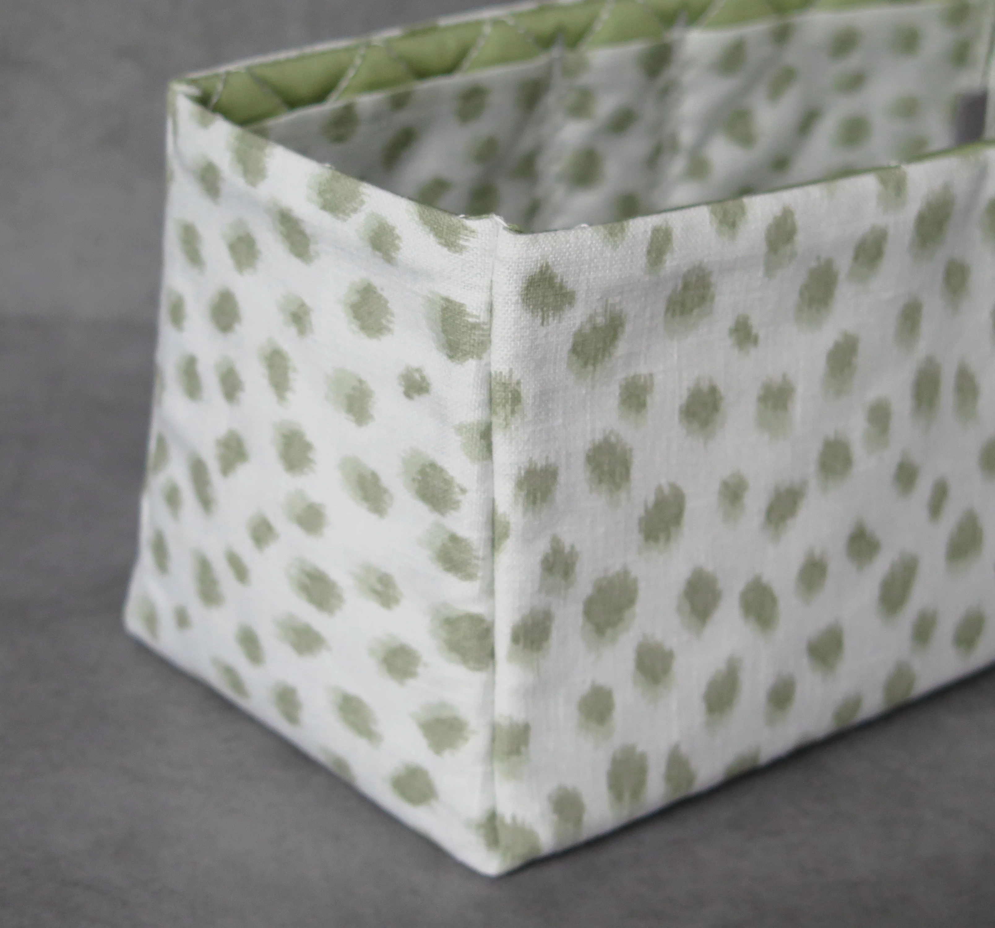 Petit Leopard Sage - Image 3